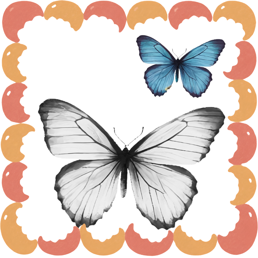 butterfly drawing books