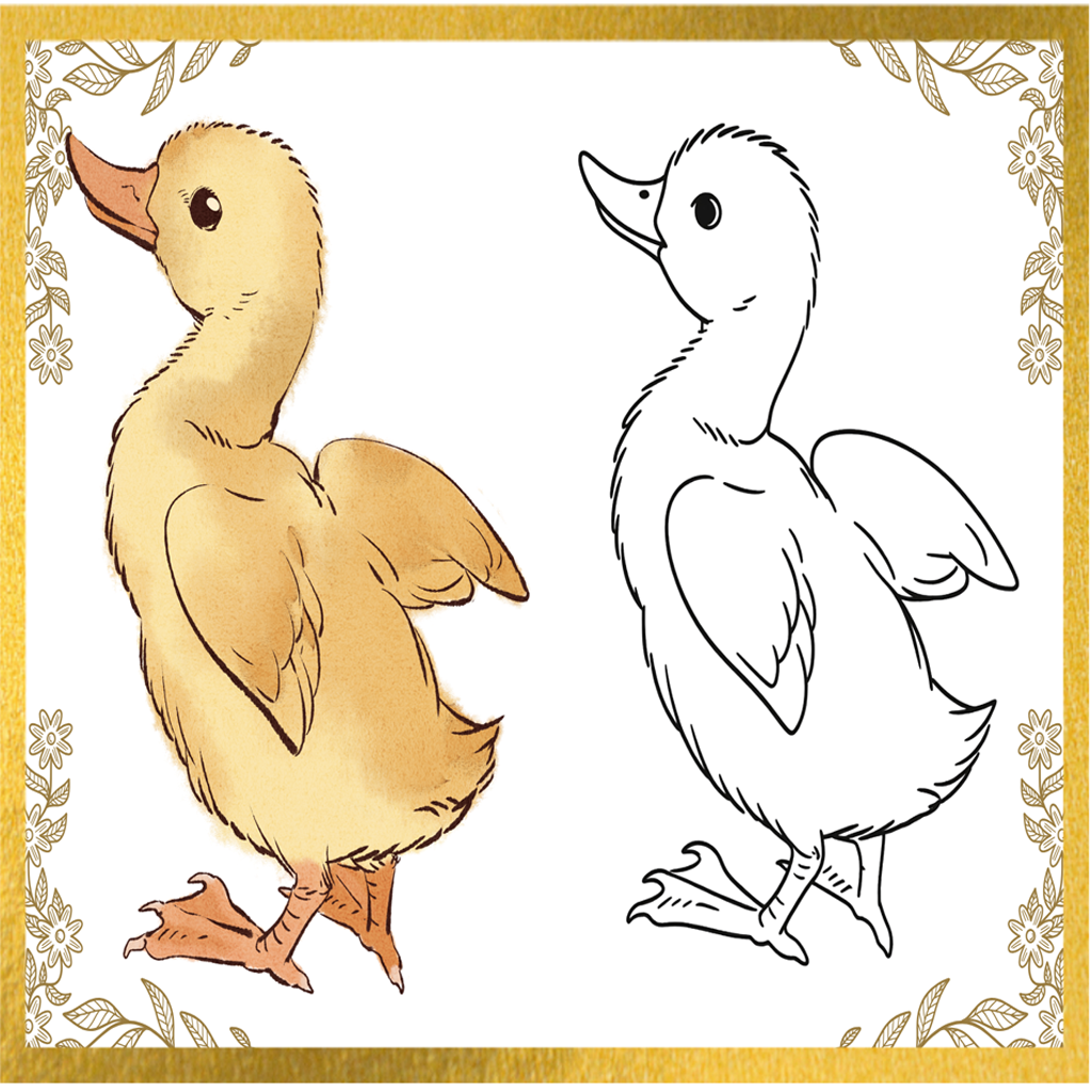 Cute Duck Drawing Page