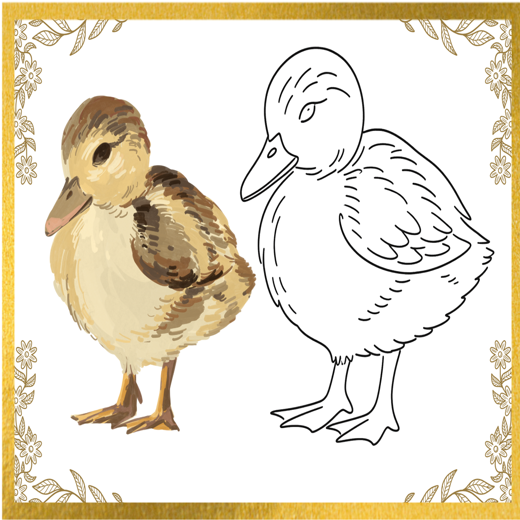 Cute Duck Drawing Page