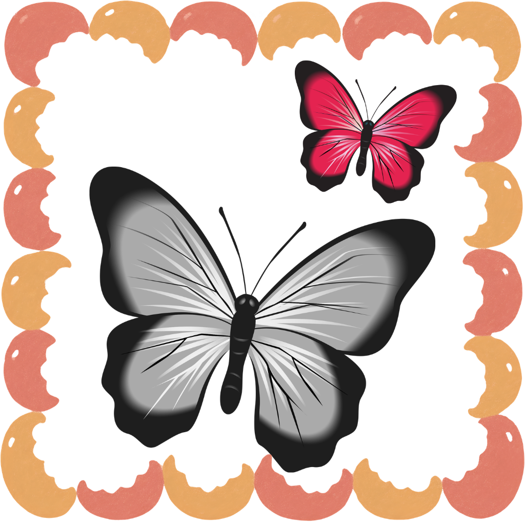butterfly drawing books