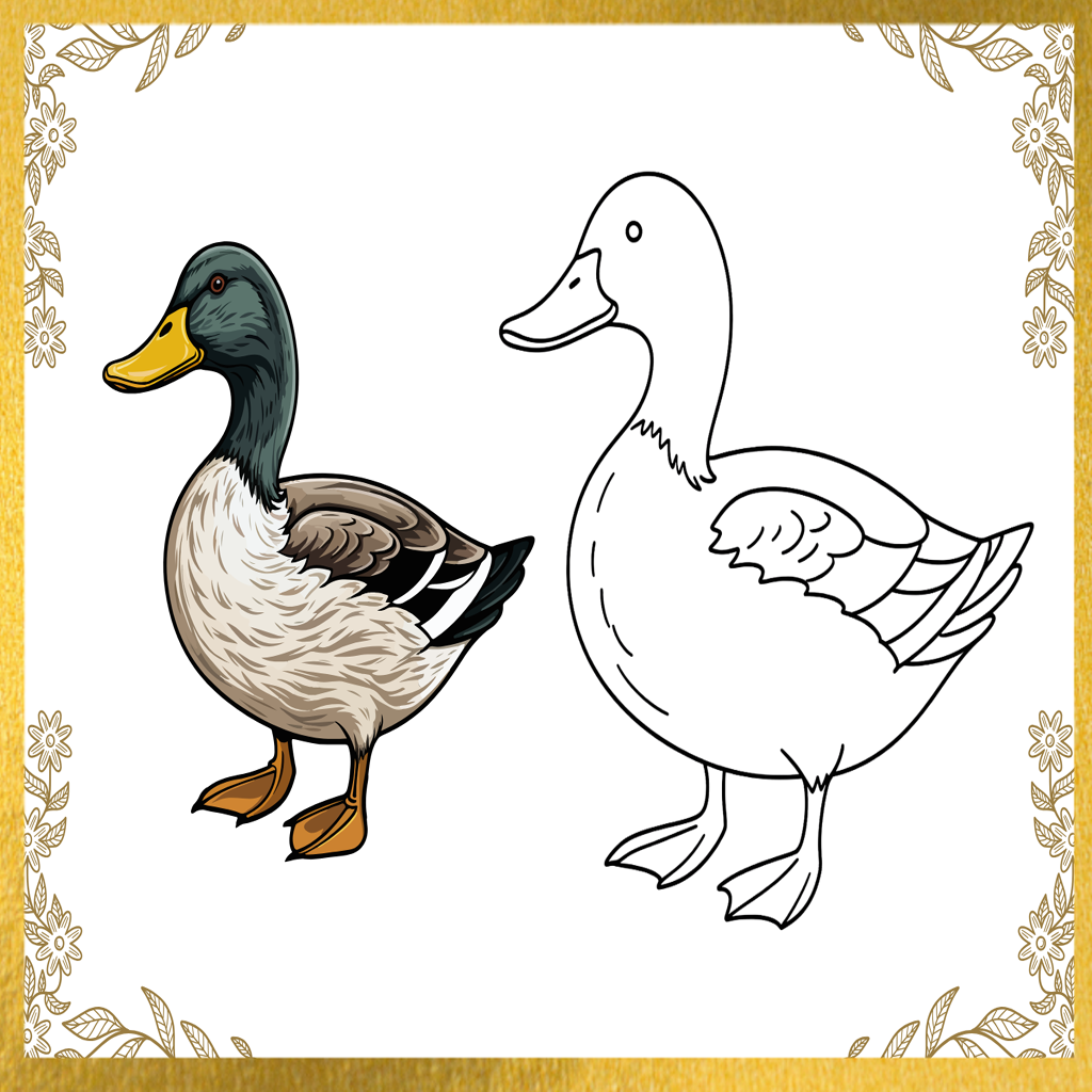 Cute Duck Drawing Page