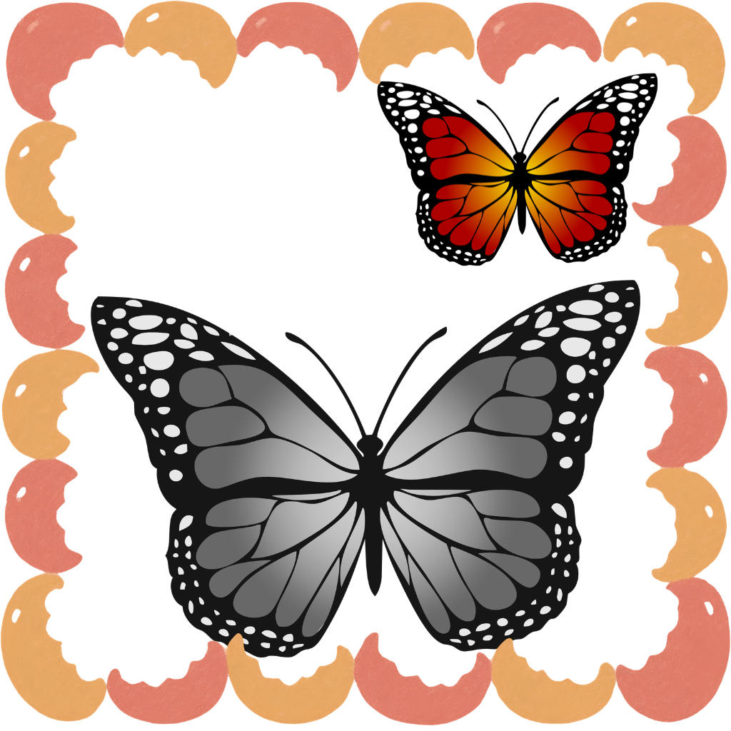 butterfly drawing books