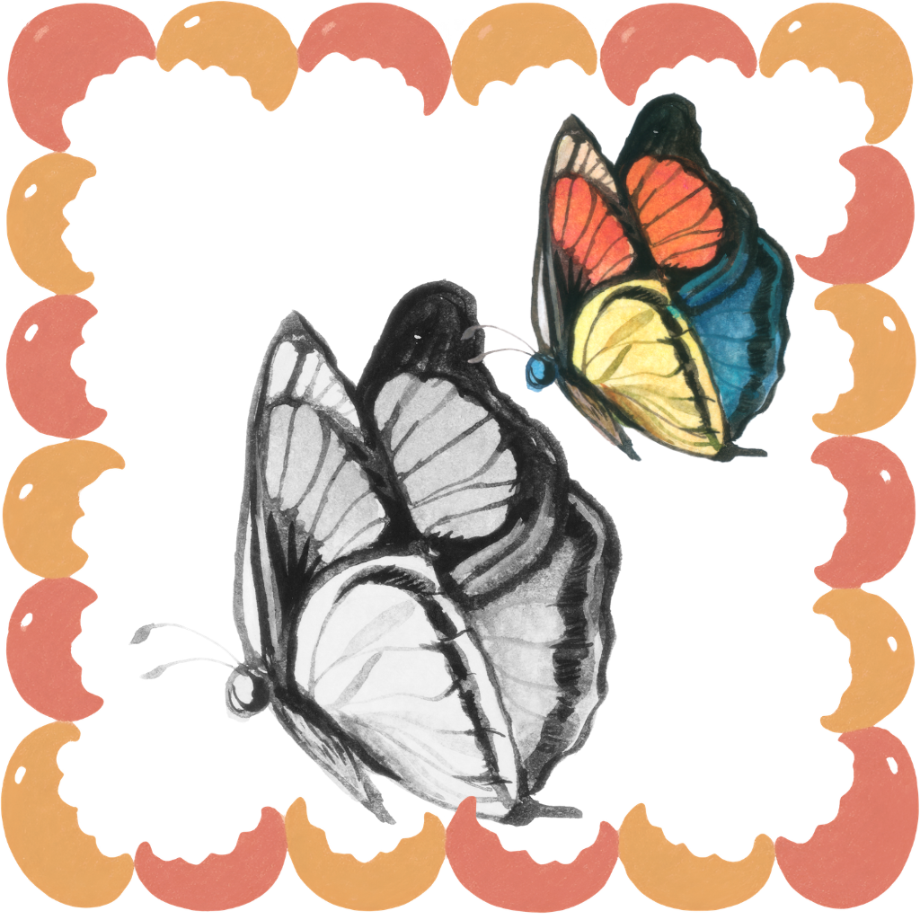 butterfly drawing books