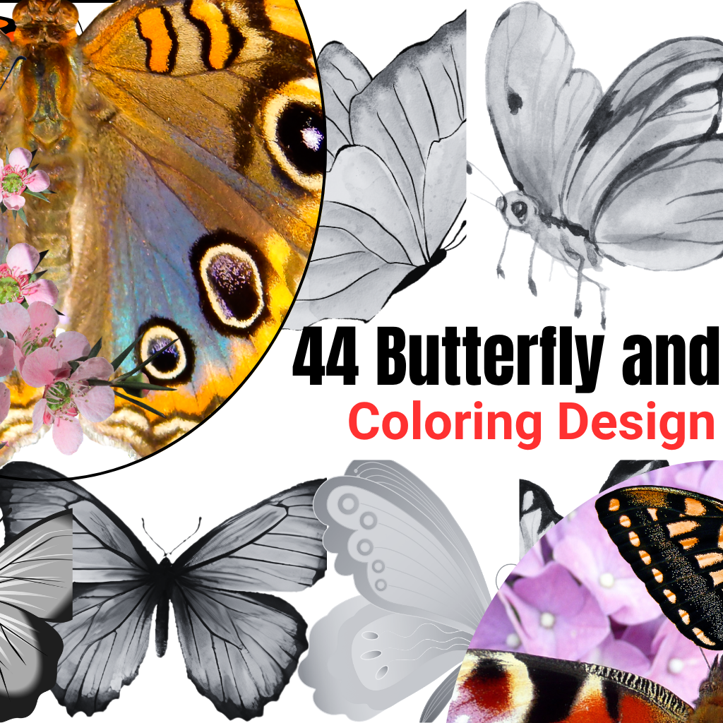 butterfly drawing books